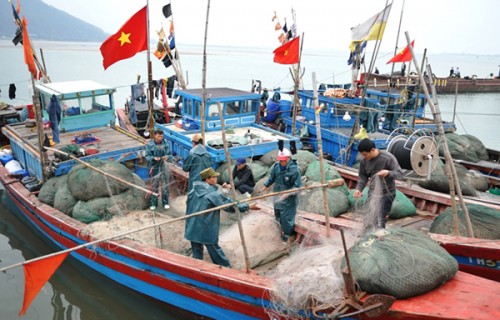 Vươn khơi bám biển từ đồng vốn chính sách