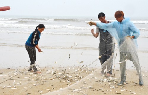 Vươn khơi bám biển từ đồng vốn chính sách