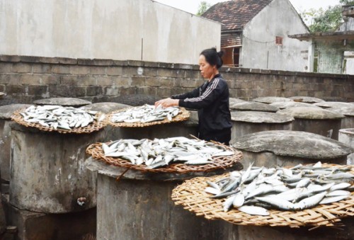 Vươn khơi bám biển từ đồng vốn chính sách