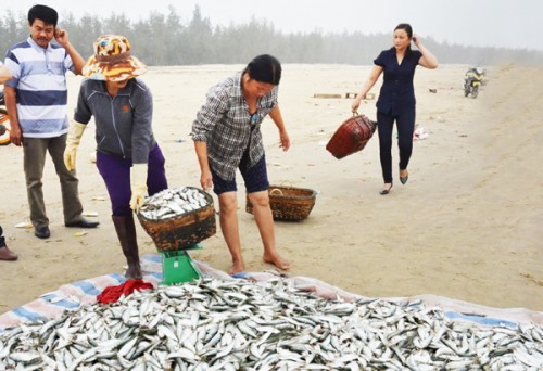 Vươn khơi bám biển từ đồng vốn chính sách