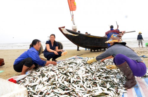 Vươn khơi bám biển từ đồng vốn chính sách