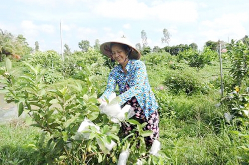 Hiệu quả từ đồng vốn chính sách tại TP.Cần Thơ