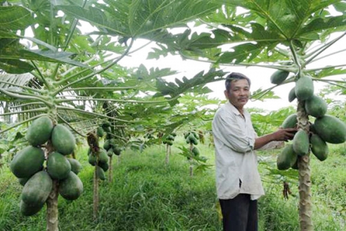 Hiệu quả từ đồng vốn chính sách tại TP.Cần Thơ