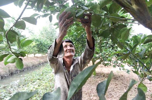 Hiệu quả từ đồng vốn chính sách tại TP.Cần Thơ