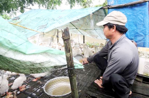 Hiệu quả từ đồng vốn chính sách tại TP.Cần Thơ