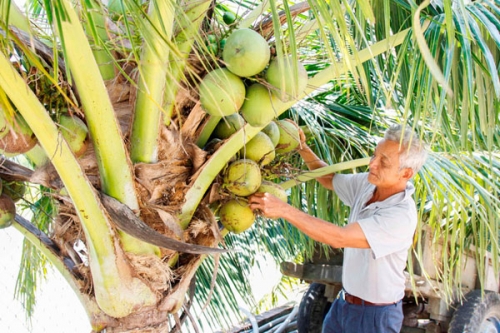 Người nghèo ở Khánh Hòa vay vốn ưu đãi làm giàu Người nghèo ở Khánh Hòa vay vốn ưu đãi làm giàu