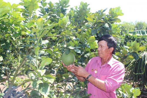 Người nghèo ở Khánh Hòa vay vốn ưu đãi làm giàu Người nghèo ở Khánh Hòa vay vốn ưu đãi làm giàu