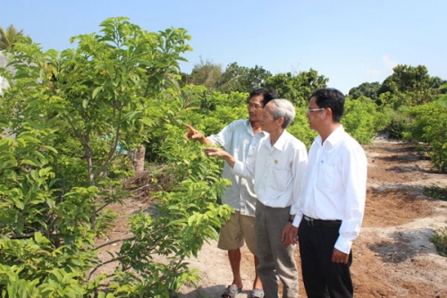 Người nghèo ở Khánh Hòa vay vốn ưu đãi làm giàu Người nghèo ở Khánh Hòa vay vốn ưu đãi làm giàu