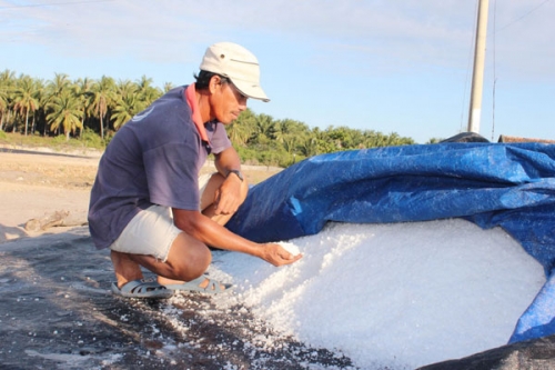 Người nghèo ở Khánh Hòa vay vốn ưu đãi làm giàu Người nghèo ở Khánh Hòa vay vốn ưu đãi làm giàu