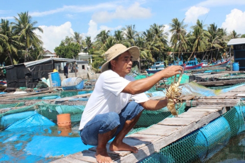 Người nghèo ở Khánh Hòa vay vốn ưu đãi làm giàu Người nghèo ở Khánh Hòa vay vốn ưu đãi làm giàu