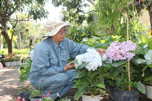 Người nghèo ở Khánh Hòa vay vốn ưu đãi làm giàu Người nghèo ở Khánh Hòa vay vốn ưu đãi làm giàu