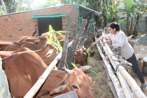 Người nghèo ở Khánh Hòa vay vốn ưu đãi làm giàu Người nghèo ở Khánh Hòa vay vốn ưu đãi làm giàu