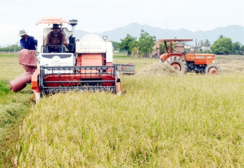 Phê duyệt Đề án xây dựng nông thôn mới trong quá trình đô thị hóa