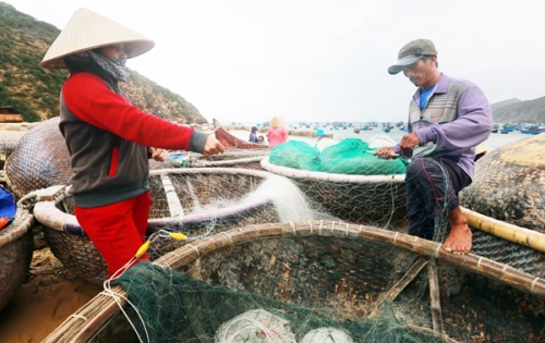 “Cú hích” tín dụng chính sách nơi đất võ Bình Định