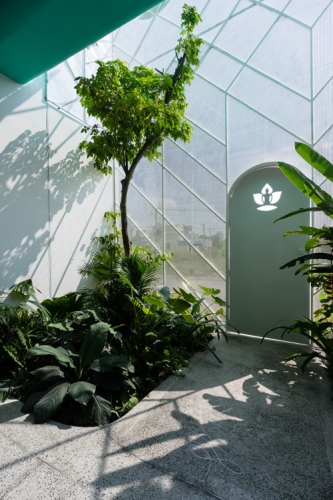 Ốc đảo dịu mát trong ngôi nhà hướng Tây ở Sài Gòn