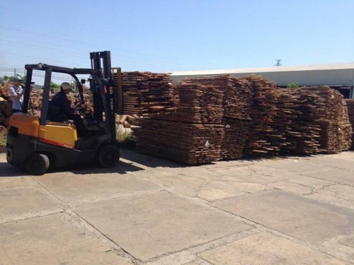 Kêu gọi tổ chức xã hội tham gia lộ trình thực thi Hiệp định VPA/FLEGT