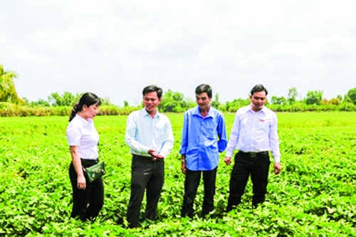 Gia tăng giá trị kinh tế vùng (Kỳ I) Gia tăng giá trị kinh tế vùng (Kỳ I)