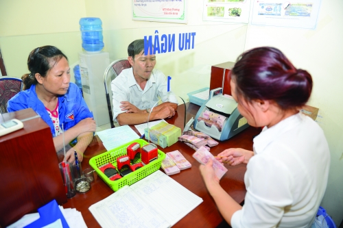 QTDND Tân Hà: Tựa vào Ngân hàng Hợp tác để hỗ trợ thành viên