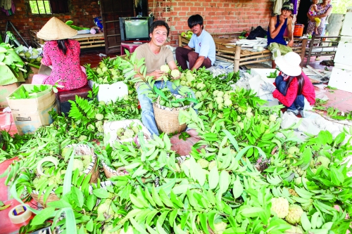 Đồng hành cùng nông dân thời hội nhập