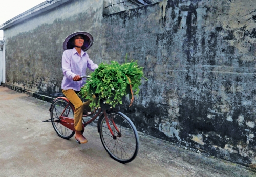 Tín dụng chính sách trên quê lúa Thái Bình