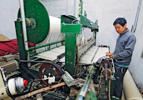 Tín dụng chính sách trên quê lúa Thái Bình