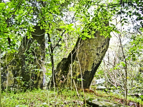 Thăm nơi một thời giữ yên giấc ngủ của Bác