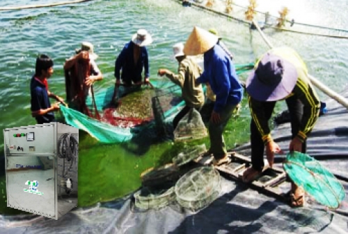 Ngành thủy sản tích cực “xóa” thẻ vàng