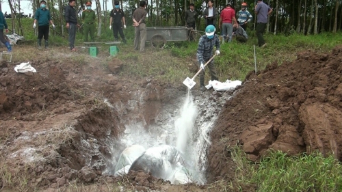 Chủ động ứng phó với dịch tả lợn