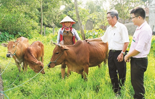 “Đòn bẩy” khích lệ người dân thoát nghèo