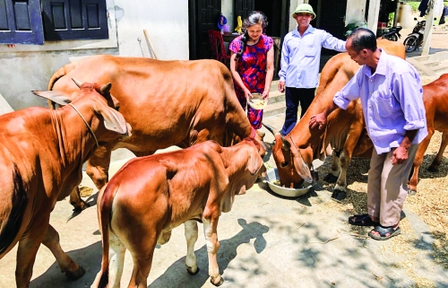Vốn ưu đãi: Đồng hành cùng hộ gia đình vùng khó khăn Vốn ưu đãi: Đồng hành cùng hộ gia đình vùng khó khăn