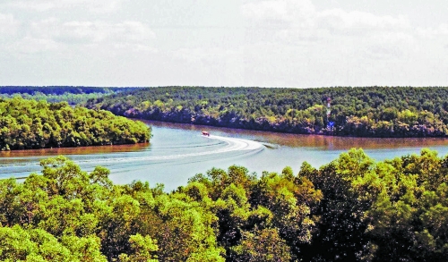 Hệ lụy từ sốt đất ảo ở Cần Giờ