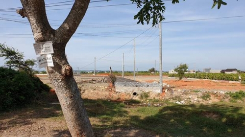 Bình Thuận: Tăng cường kiểm soát thị trường bất động sản Bình Thuận: Tăng cường kiểm soát thị trường bất động sản