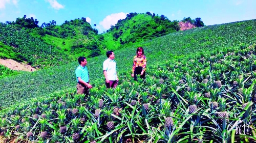 Thành công nhờ chiến lược kinh doanh sáng tạo