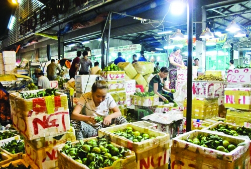 Xây dựng trung tâm cung ứng nông sản hiện đại