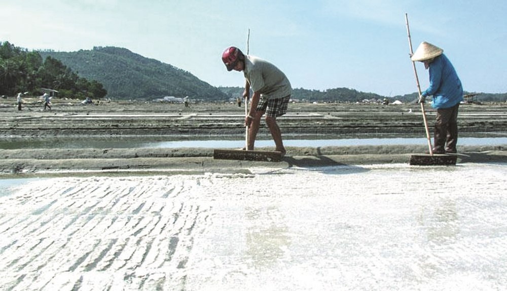 Chênh vênh giá muối