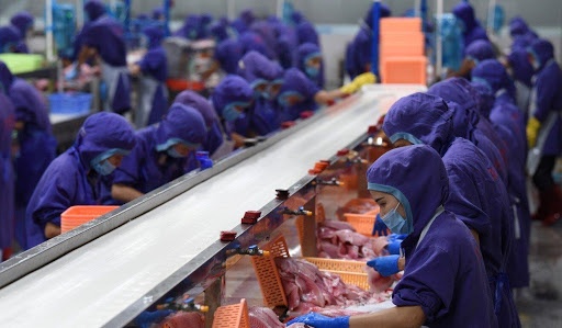 Ngành thủy sản đẩy mạnh liên kết