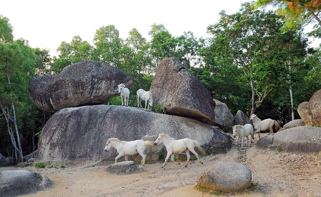 Sầm Sơn - viên ngọc quý của du lịch trước thời cơ tỏa sáng sam son vien ngoc quy cua du lich truoc thoi co toa sang