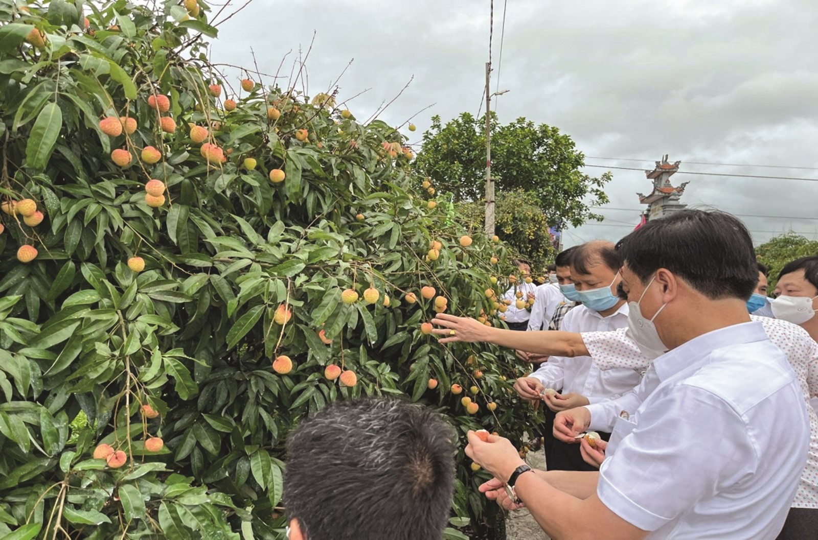 dua vai thieu thanh ha len san thuong mai dien tu