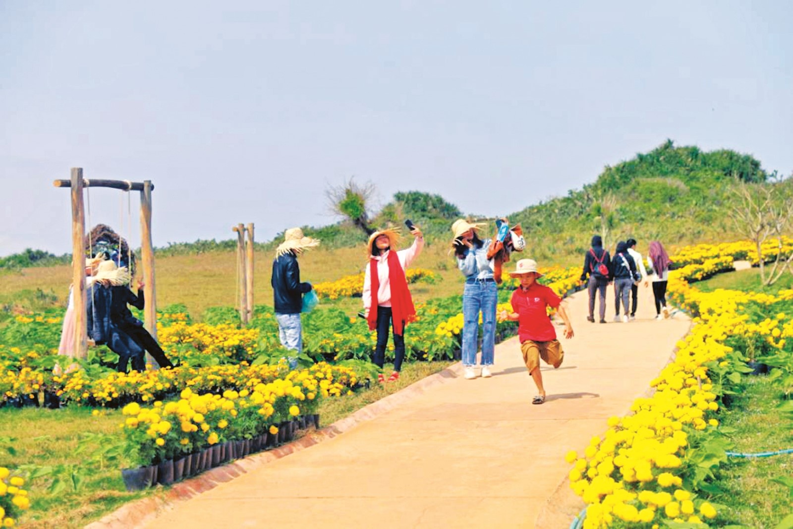 Công ty du lịch thất thu giữa “mùa vàng” cong ty du lich that thu giua mua vang