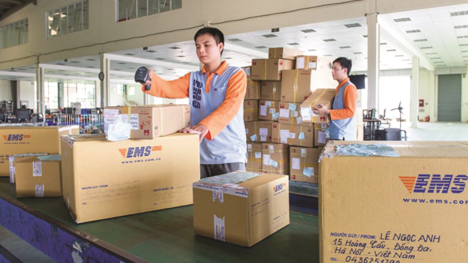 khoi ngoai thau tom chuoi ban le