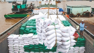 Gia tăng xuất khẩu gạo vào thị trường ASEAN