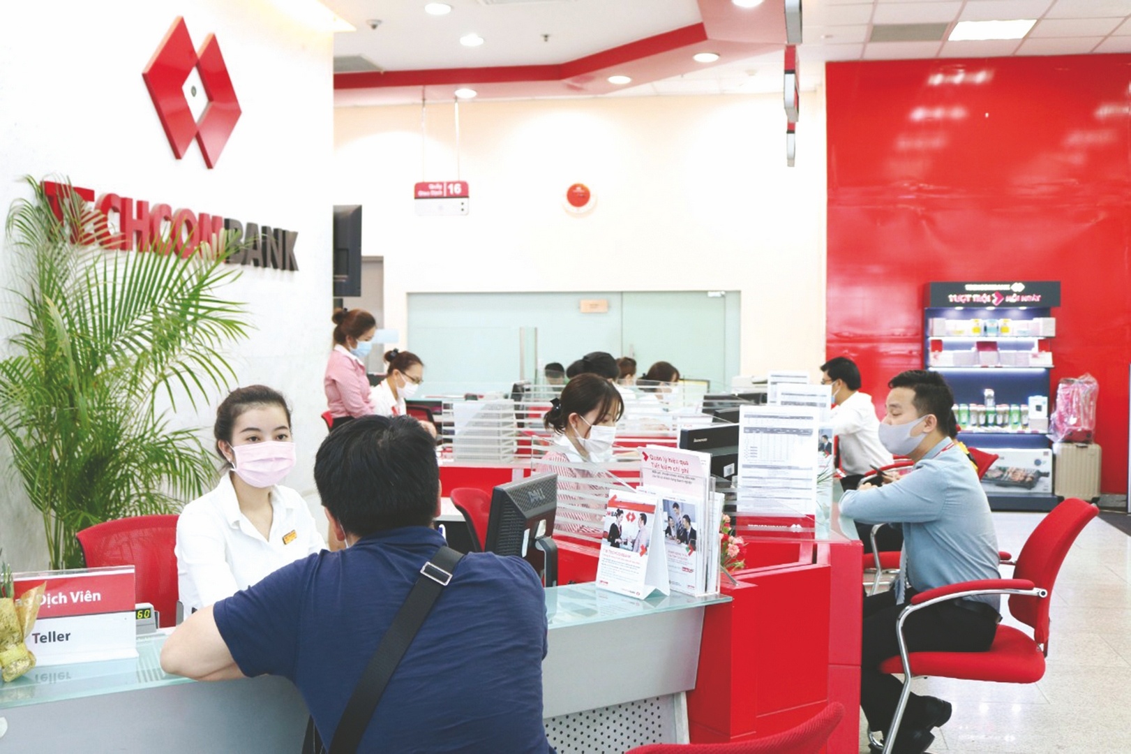 tim dong luc tang truong casa