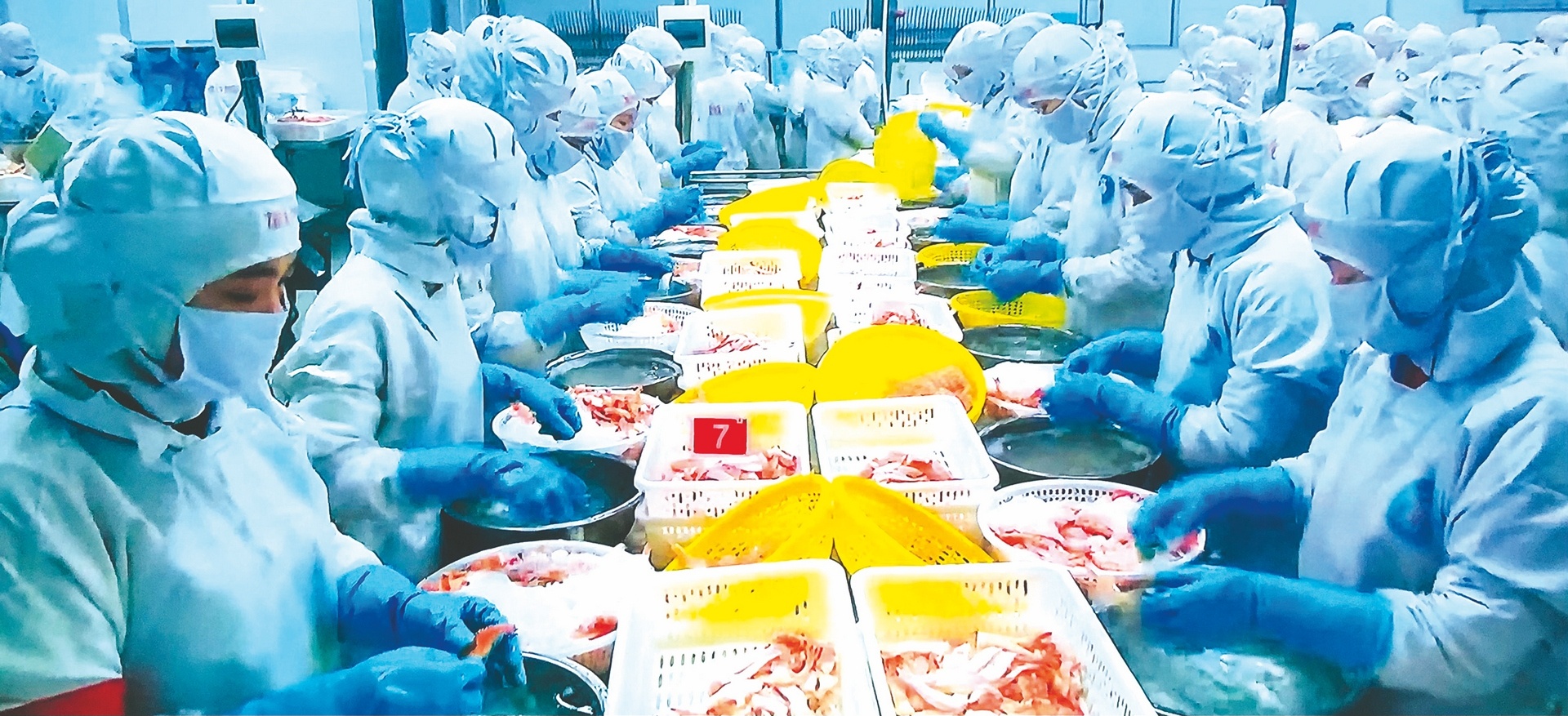 RCEP mở cánh cửa rộng cho ngành thủy sản Việt