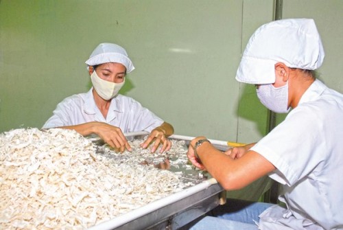 Thị trường mua bán nợ: Hành lang pháp lý vẫn đang bó hẹp