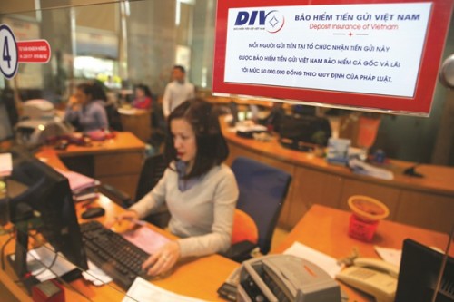 Bảo vệ người gửi tiền tại các tổ chức tài chính vi mô