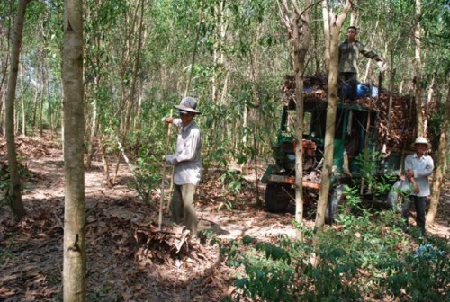 Tín dụng chính sách với phát triển kinh tế xanh