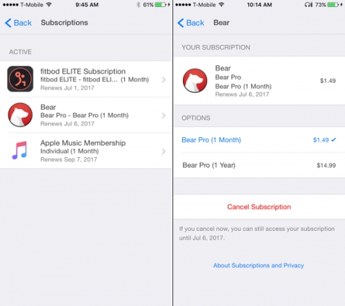 Cách kiểm tra và gỡ bỏ những dịch vụ tốn tiền vô ích trên iOS Cách kiểm tra và gỡ bỏ những dịch vụ tốn tiền vô ích trên iOS