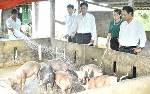 NHCSXH tỉnh Hải Dương 15 năm giúp dân nghèo vượt khó