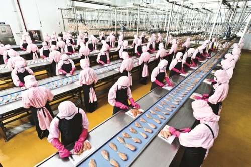 Cơ chế xin cho khiến thị trường méo mó