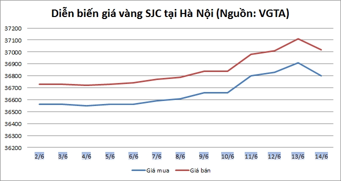 Thị trường vàng ngày 14/6: Duy trì quanh mốc 37 triệu đồng/lượng